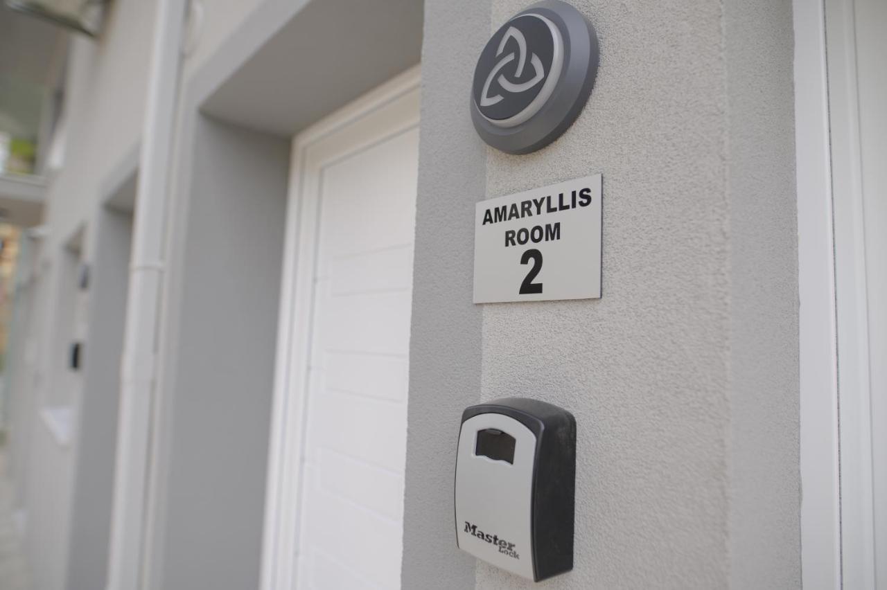 Amaryllis Maison Emporiou 亚历山德鲁波利斯 外观 照片